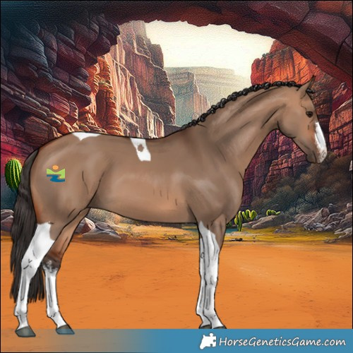 Horse Color:White Spotted Bay Dun Tobiano 