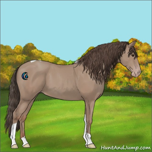 Horse Color:Classic Champagne Tobiano 