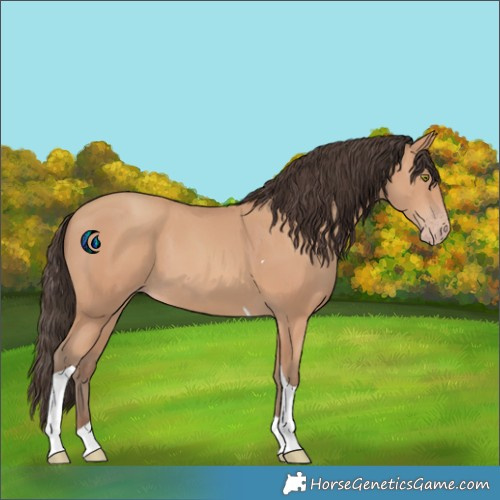 Horse Color:Amber Champagne Tobiano