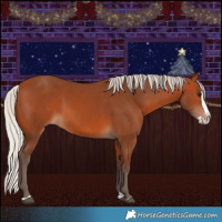 Horse Color:Silver Bay Splash 