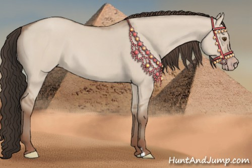 Horse Color:Classic Champagne Dun 