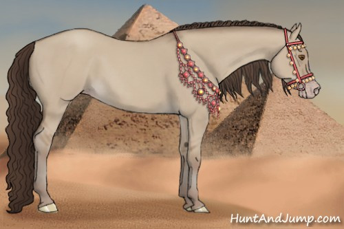 Horse Color:Classic Champagne Dun 