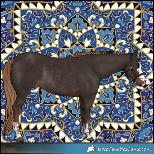 Horse Color:Liver Chestnut and Liver Chestnut Rabicano