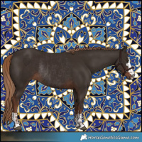 Horse Color:Liver Chestnut  and Liver Chestnut Rabicano 