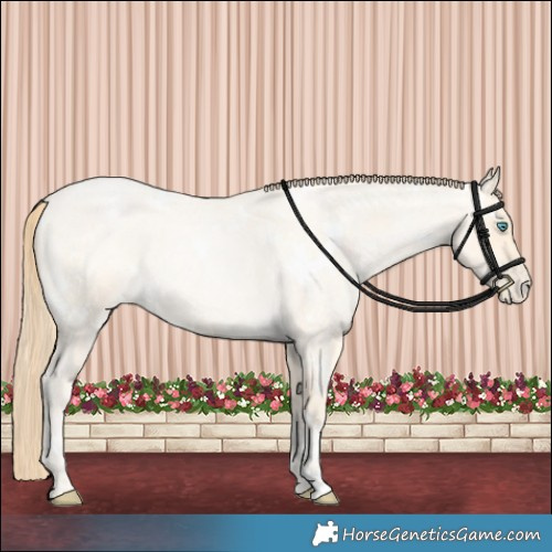 Horse Color:White Spotted Bay Roan Snowdrop Pearl 