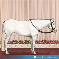 Horse Color:White Spotted Bay Roan Snowdrop Pearl