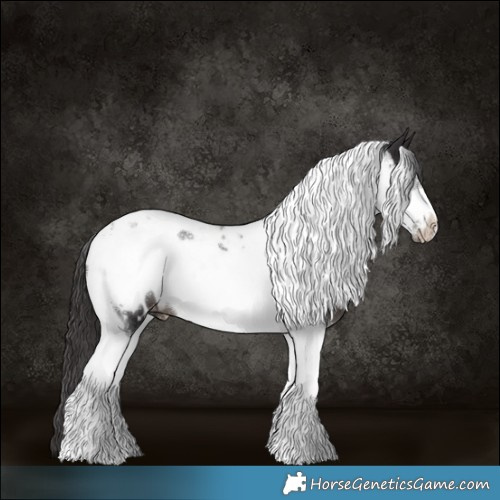 Horse Color:Smoky Black Tobiano Frame Appaloosa 