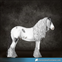 Horse Color:Smoky Black Tobiano Frame Appaloosa