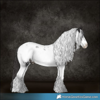 Horse Color:Smoky Black Tobiano Frame Near Leopard 