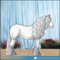 Horse Color:Cremello Tobiano Frame Near Leopard 