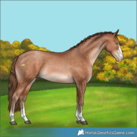 Horse Color:Chocolate Brown Pearl 