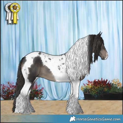 Horse Color:Smoky Black Tobiano 