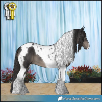 Horse Color:Smoky Black Tobiano 