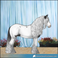 Horse Color:Smoky Black Tobiano Frame 