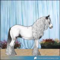 Horse Color:Smoky Black Tobiano Frame 