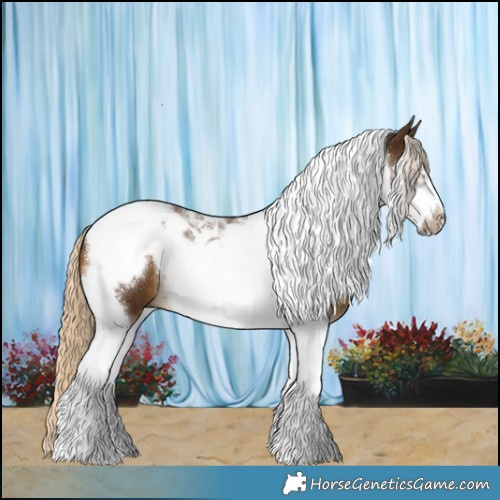 Horse Color:Chocolate Palomino Tobiano Frame 