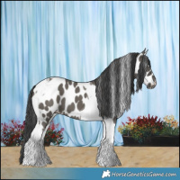 Horse Color:Grullo Tobiano Leopard 