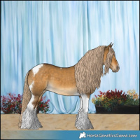 Horse Color:Chocolate Palomino Dun Tobiano