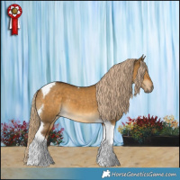 Horse Color:Chocolate Palomino Dun Tobiano