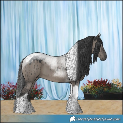 Horse Color:Grullo Tobiano Brindle