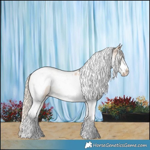 Horse Color:Cremello Tobiano Frame