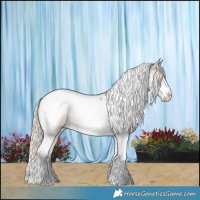 Horse Color:Cremello Tobiano Frame 