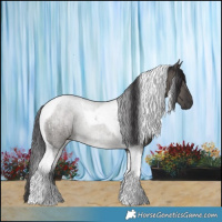 Horse Color:Smoky Grullo Tobiano Brindle 