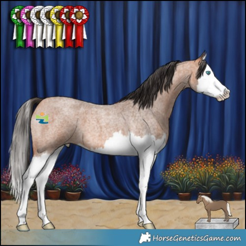 Horse Color:Bay Roan Mushroom Splash 