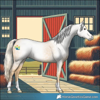 Horse Color:Gray Palomino 