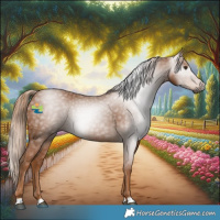 Horse Color:Gray Chestnut 