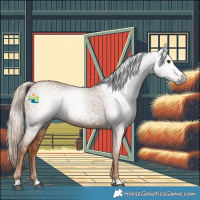 Horse Color:Gray Chestnut 