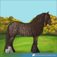 Horse Color:Liver Red Dun  and Liver Chestnut 