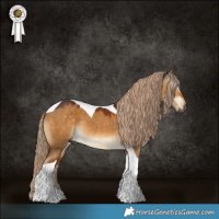 Horse Color:Gray Chocolate Palomino Dun Tobiano 
