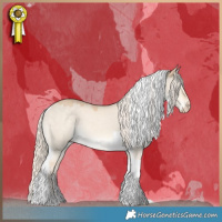 Horse Color:Cremello Dun Tobiano