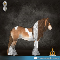 Horse Color:Gray Perlino Tobiano