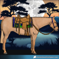 Horse Color:Red Roan 