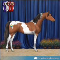 Horse Color:Bay Tobiano 