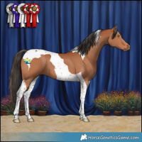 Horse Color:Bay Tobiano 