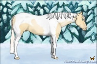 Horse Color:Silver Amber Champagne Pearl Dun Tobiano 