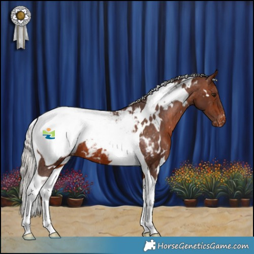 Horse Color:White Spotted Silver Brown Tobiano Appaloosa 
