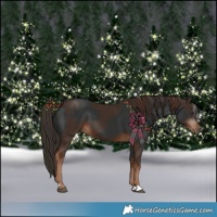 Horse Color:Liver Chestnut and Gray Liver Chestnut
