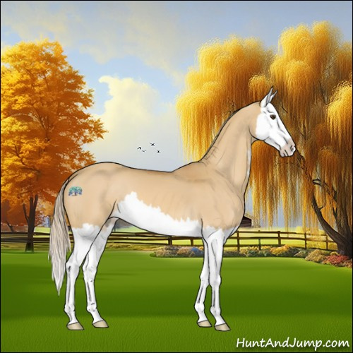 Horse Color:Palomino Dun Splash