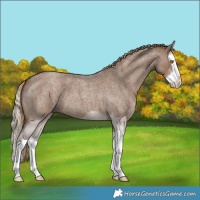 Horse Color:White Spotted Liver Red Dun Roan Splash 