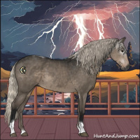Horse Color:Gray Silver Smoky Grullo Sabino Tobiano