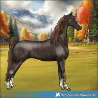 Horse Color:Liver Chestnut  and Liver Chestnut 