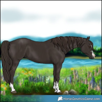 Horse Color:Liver Chestnut  and Liver Chestnut 