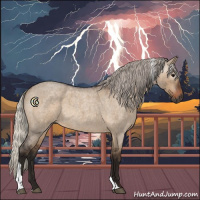 Horse Color:Gray Silver Grullo Roan Tobiano 