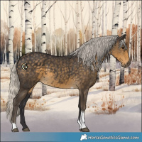 Horse Color:Silver Smoky Black Sabino Tobiano