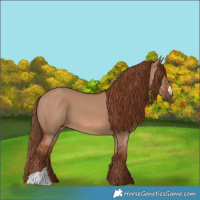Horse Color:Red Dun 