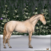 Horse Color:Bay Roan Pearl  and Bay Roan Pearl Rabicano 